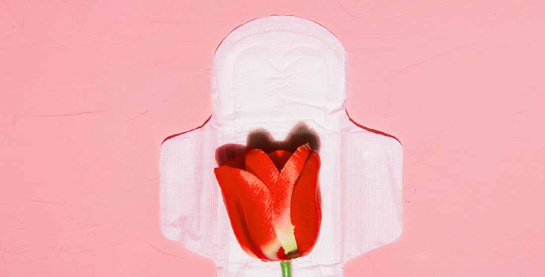 Understanding Menstruation