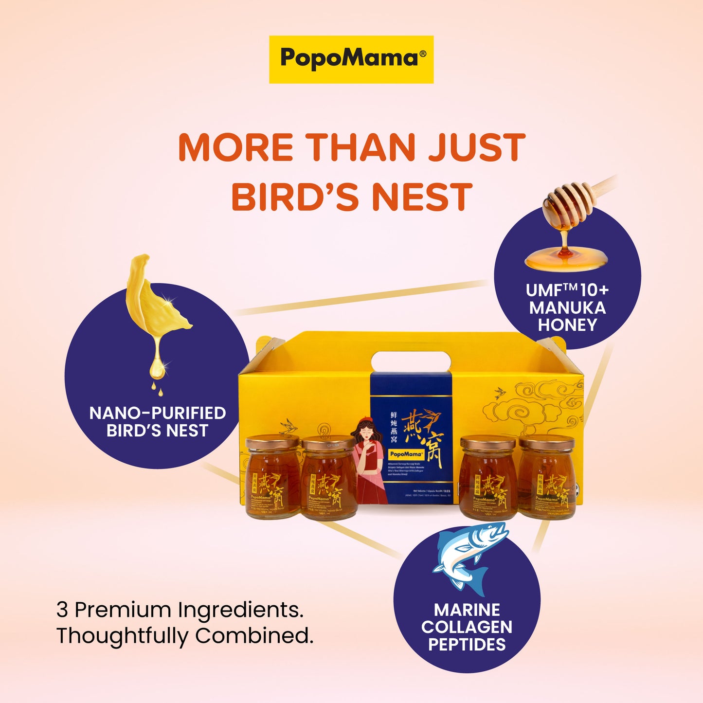 Bird's Nest with Collagen & Manuka Honey