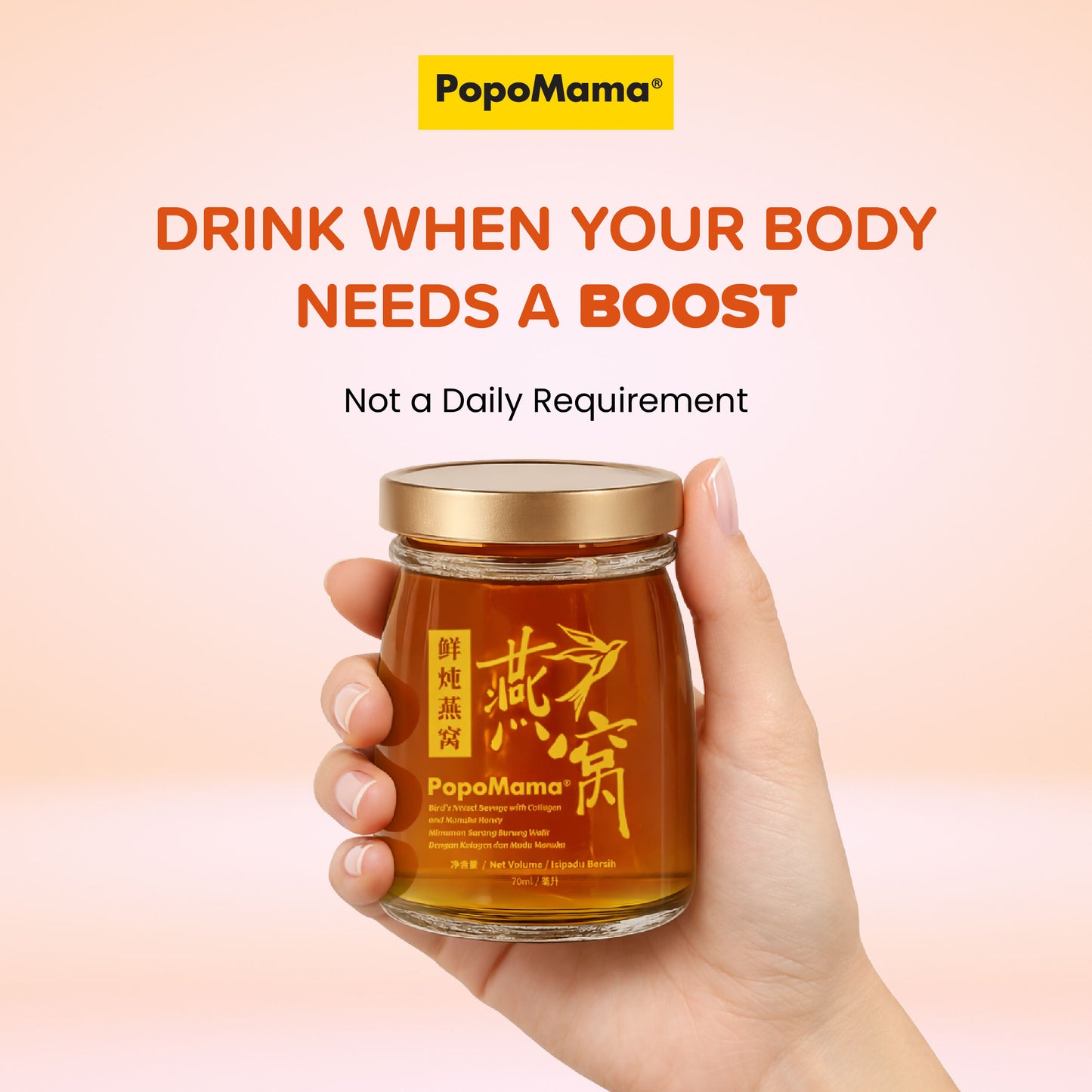 Bird's Nest with Collagen & Manuka Honey